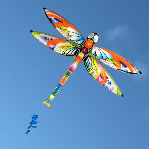 Windspeed Ocean Breeze Dragonfly Single String Kite