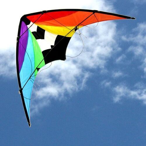 Windspeed Kites Dual Control Stunt Master Kite