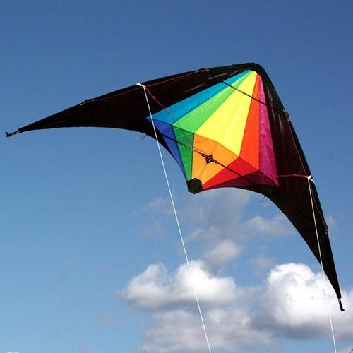 Windspeed Kites Black Widow Dual Control Stunt Kite 1.5m span