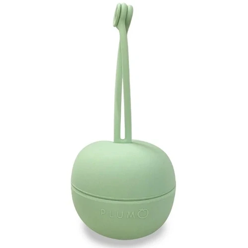 Plum Silicone Soother Storage Pod Olive