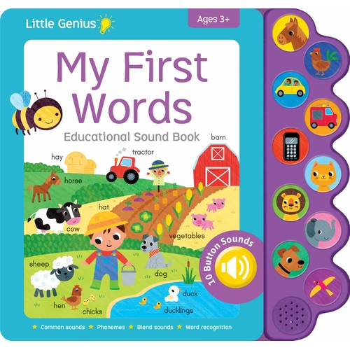 Lake Press 10 Button Sound Book - Little Genius My First Words 7381