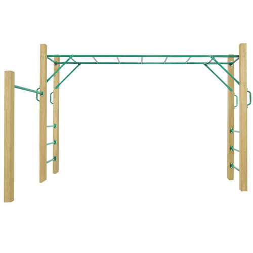 Lifespan Amazon 3.0 Monkey Bar Set**