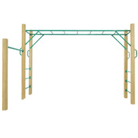 Monkey Bars/Play Gyms