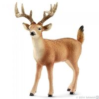 Wild Life