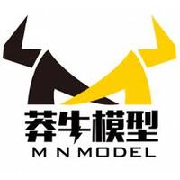 MN Model