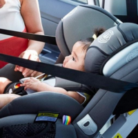 Car Seats & Accessories