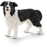 Domestic Animals