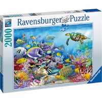 2000 Piece