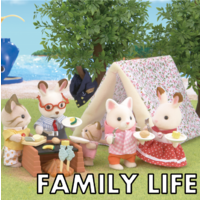 Family Life