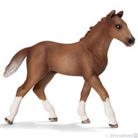 Horses